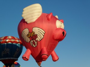 pig balloon