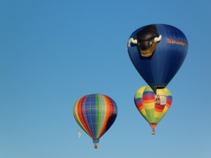 bull balloon